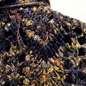 Ball of cotton stunning knit jacket 🤩💞